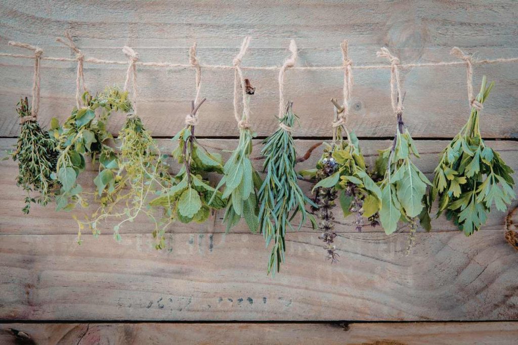 plantes sechees cuisine