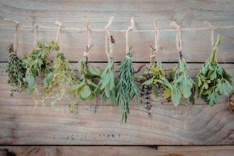 plantes sechees cuisine